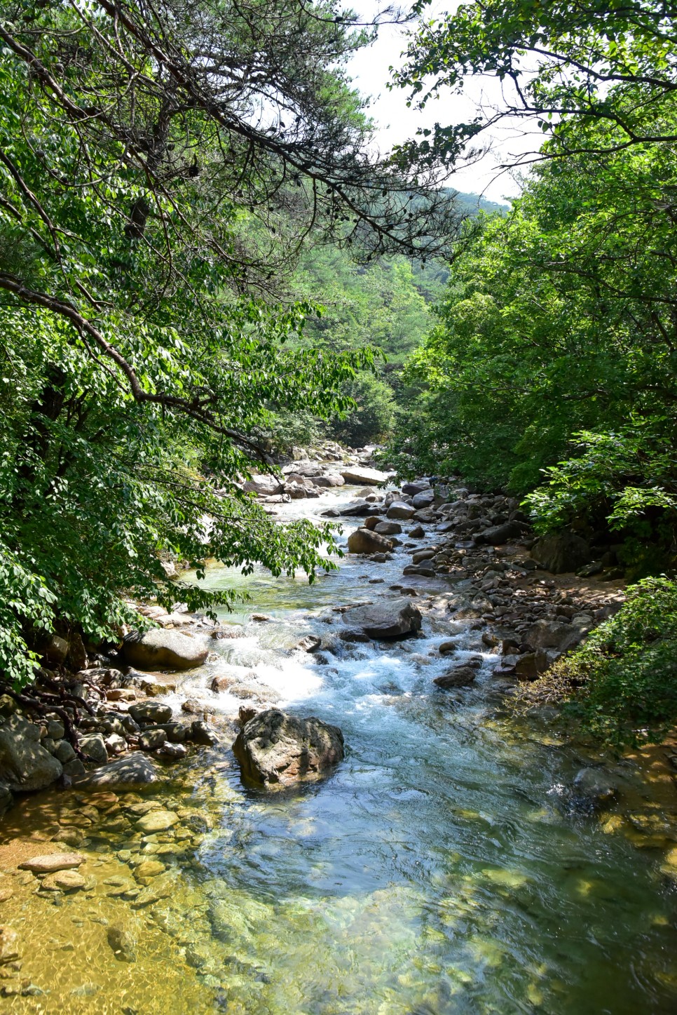 괴산 칠보산 쌍곡계곡 등산코스 괴산 가볼만한곳