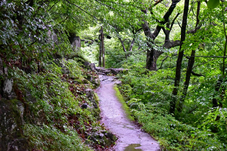 울산 배내골 계곡 과 철구소 계곡 울산근교 가볼만한곳