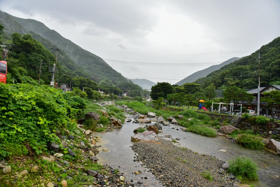 울산 배내골 계곡 과 철구소 계곡 울산근교 가볼만한곳