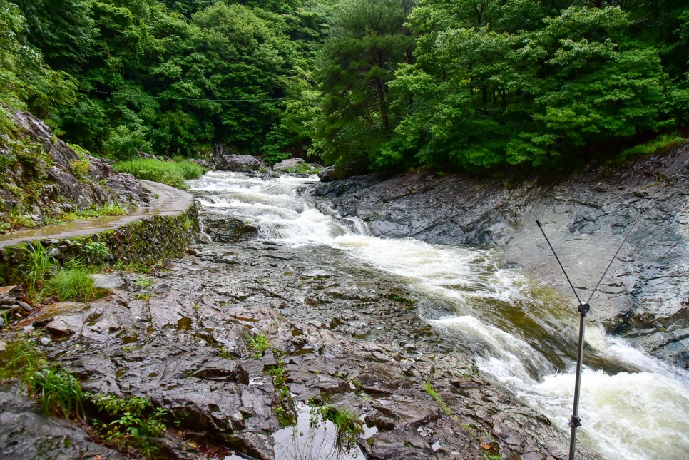 울산 배내골 계곡 과 철구소 계곡 울산근교 가볼만한곳