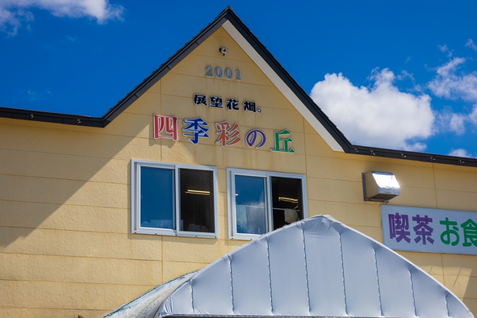 일본 홋카이도 삿포로 여행 후라노 비에이 투어 팜도미타 사계채의 언덕 청의호수 라벤더