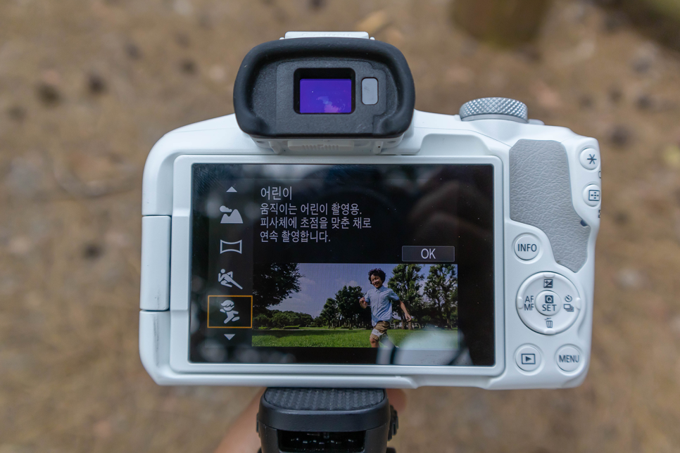 브이로그 카메라  캐논 EOS R50 반려견 산책 영상 카메라 추천