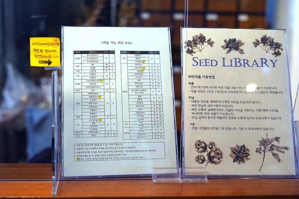 혼자 서울여행 나들이 명소 서울 놀곳 꽃구경 식물 체험 서울식물원