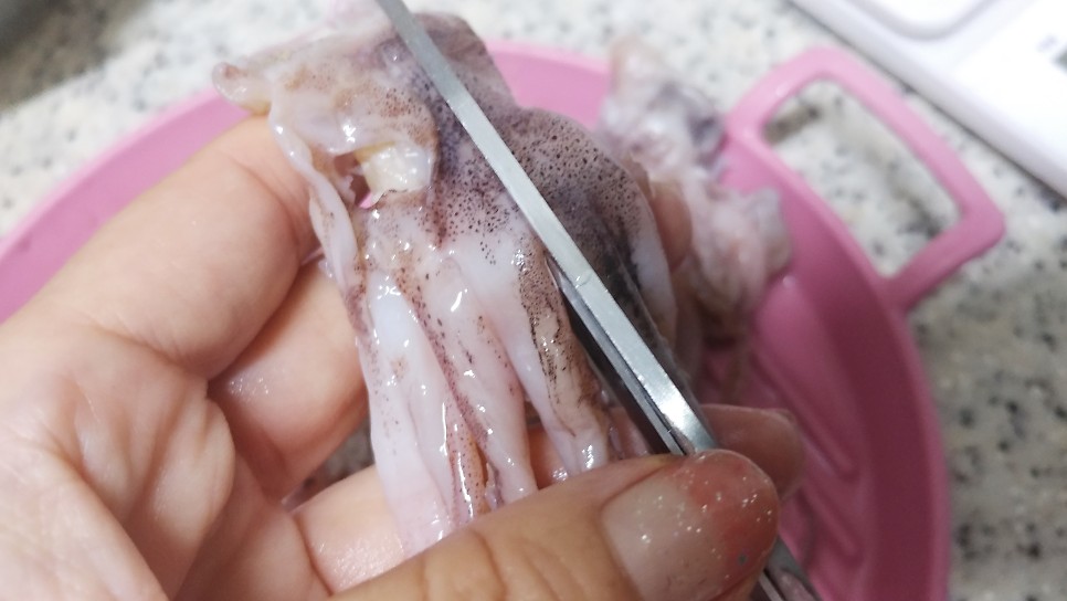 간단한반찬 꽈리고추 오징어조림 고추조림 일주일 밑반찬만들기 오징어간장조림