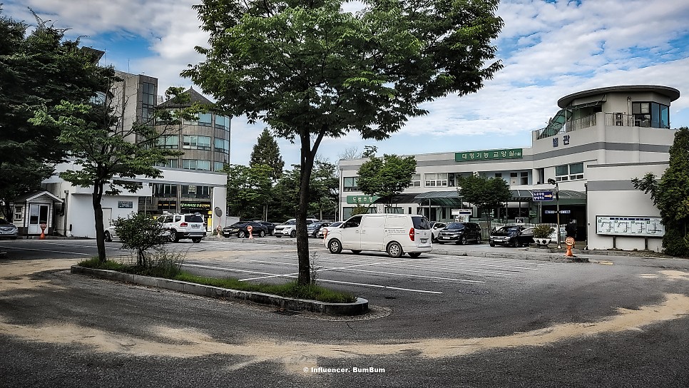 용인운전면허시험장 필기 기능시험 도로주행 당일 취득