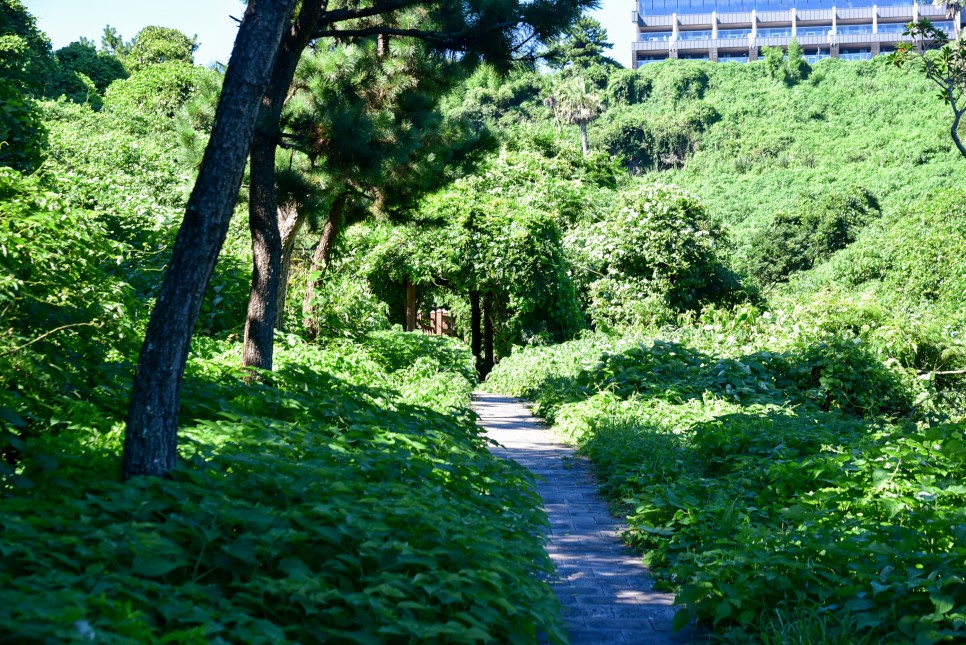 제주 원앙폭포 돈내코유원지 와 제주 속골 제주 물놀이 명소