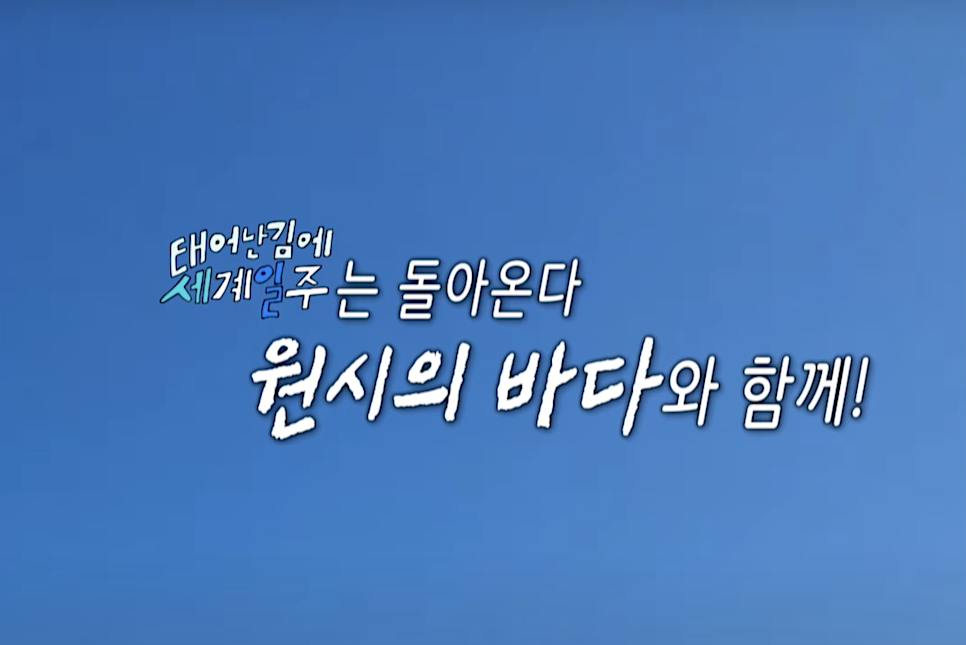 태어난김에 세계일주 시즌3 쿠키 태계일주3 시즌2 재방송 OTT