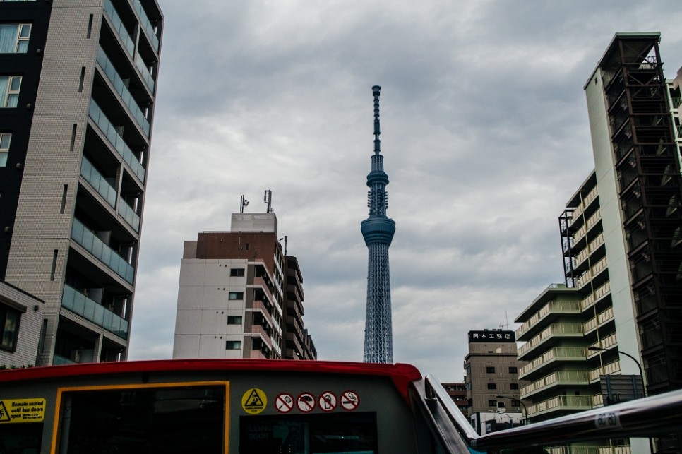 일본 도쿄 여행 코스 추천 시티투어 버스 타고 가볼만한곳 편하게 투어