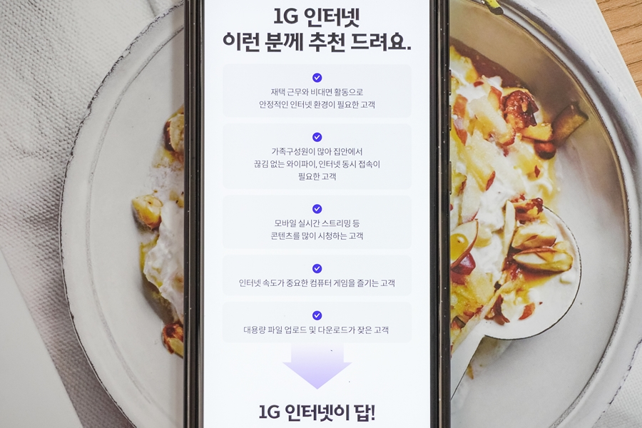 SK브로드밴드 기가 인터넷 요금제, 웹하드 이용 역시 1G가 가장 쾌적