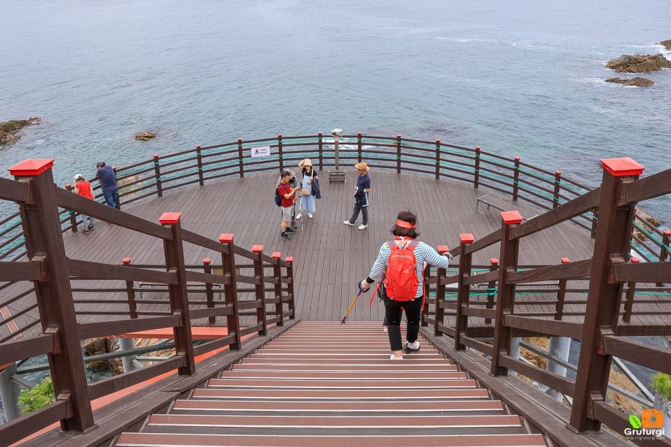 삼척 볼거리 초곡항 삼척 초곡 용굴 촛대바위 길 출렁다리