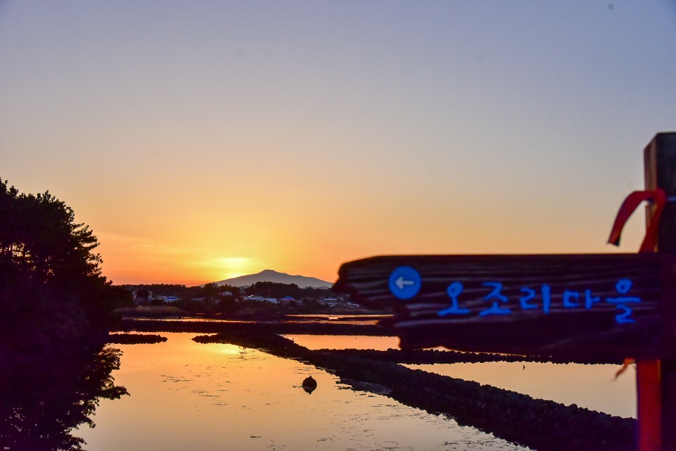 제주도 차박 제주 광치기해변 &amp; 제주 오조포구