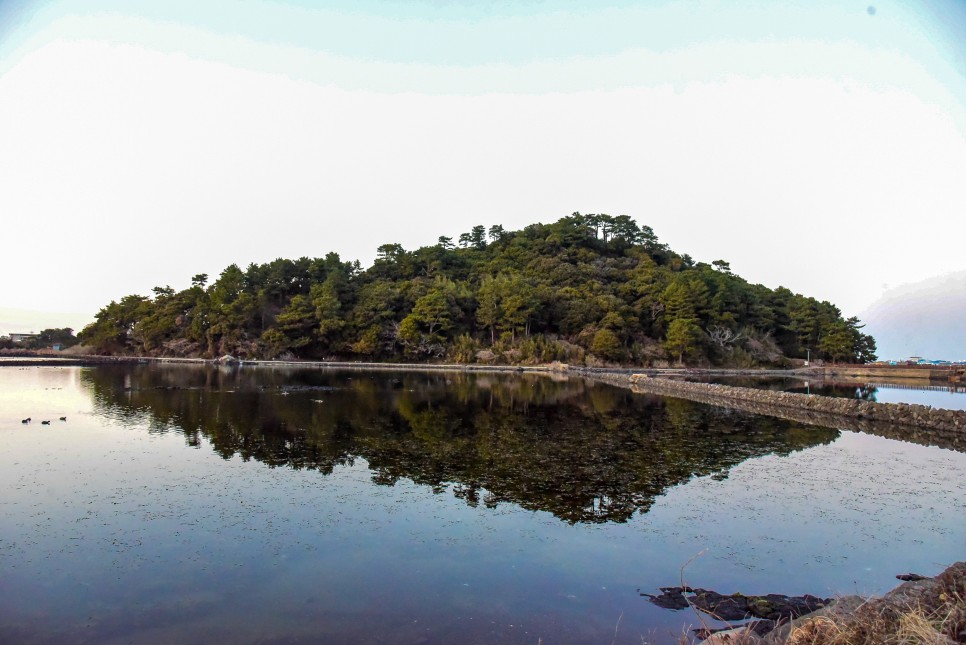 제주도 차박 제주 광치기해변 &amp; 제주 오조포구