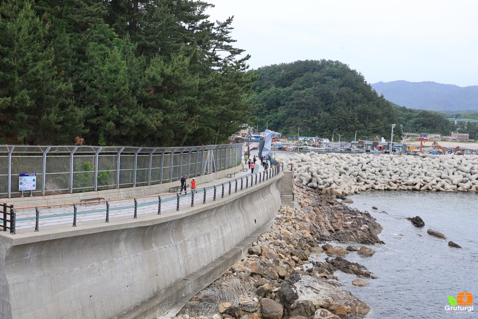 삼척 볼거리 초곡항 삼척 초곡 용굴 촛대바위 길 출렁다리