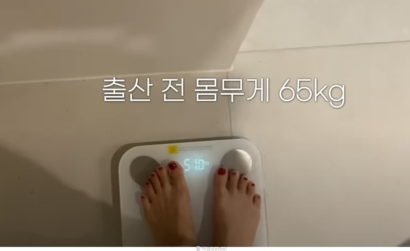 윤승아 출산후 건강한 다이어트 식단 운동 성인 발레 효과 발레핏 추천