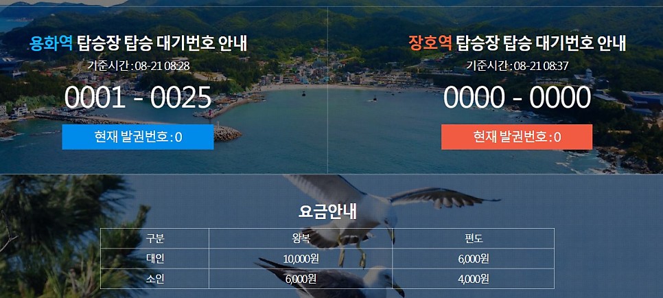 한국의 나폴리 여행 삼척 해상케이블카 장호항, 강원도 바다, 해변 가볼만한곳