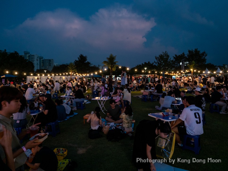 대전 가볼만한곳 데이트 코스 대전 축제 8월 가을 대전 유림공원 재즈 맥주 축제