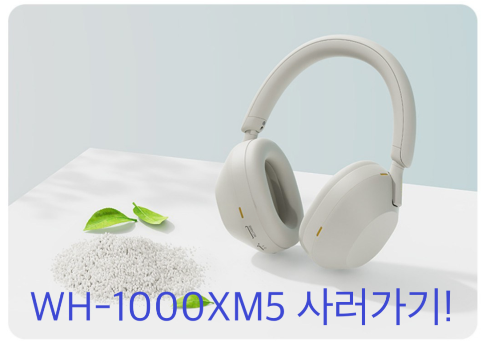 블루투스 노이즈 캔슬링 헤드폰 소니 WH-1000XM5 WH-1000XM4 비교 후기