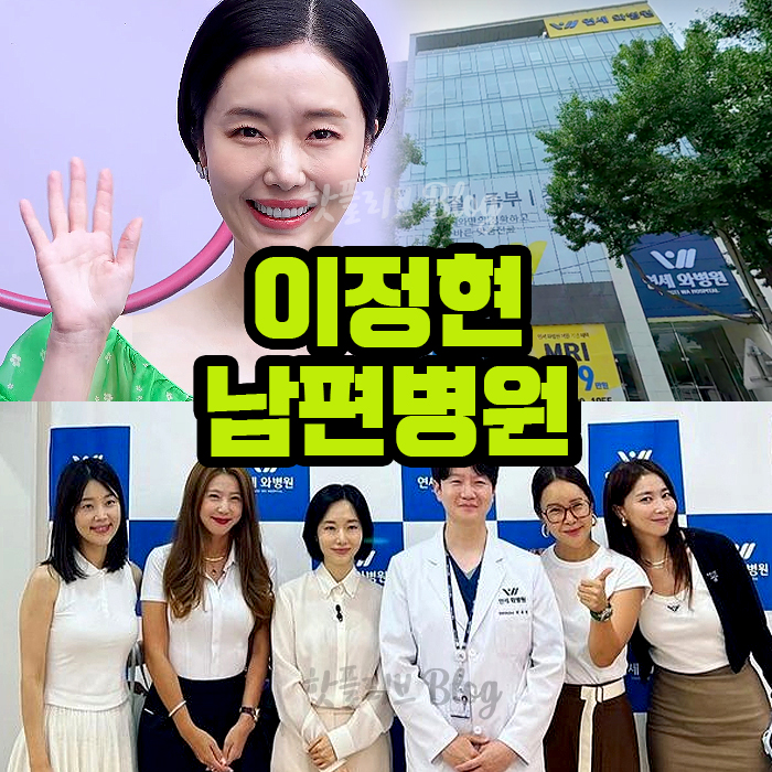 가수 이정현 남편 병원 연세와병원 194억 건물 건물주 빌딩 매입 개원 인천 구월동 병원 박유정 나이 시아버지 의사 집안 아기 프로필 부동산 집 위치 방배동 서래마을 일두오모빌라