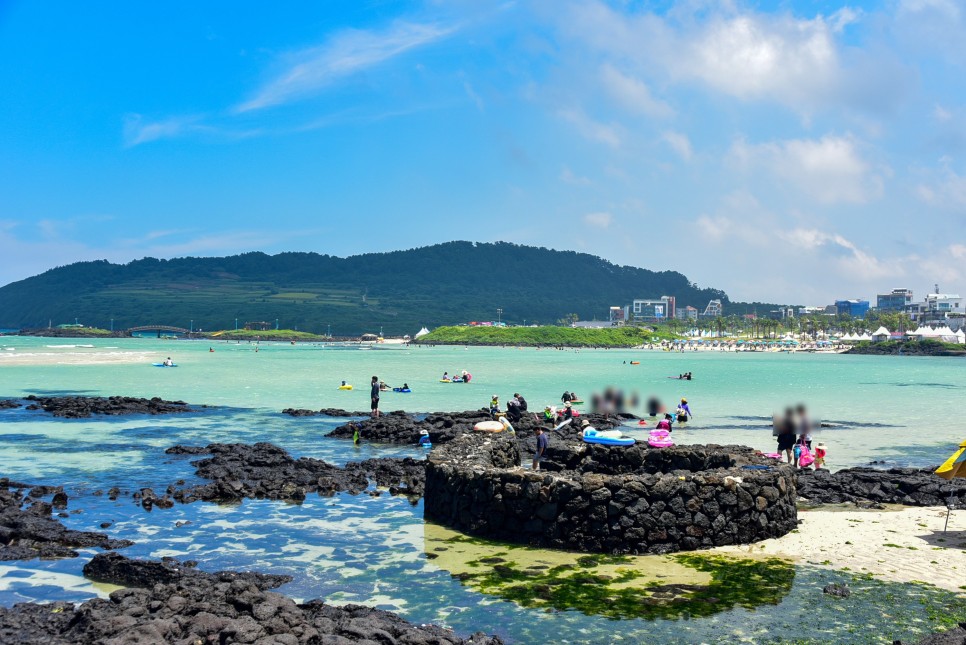 제주 동쪽 가볼만한곳 제주 투어패스 이용 저렴하게 관광