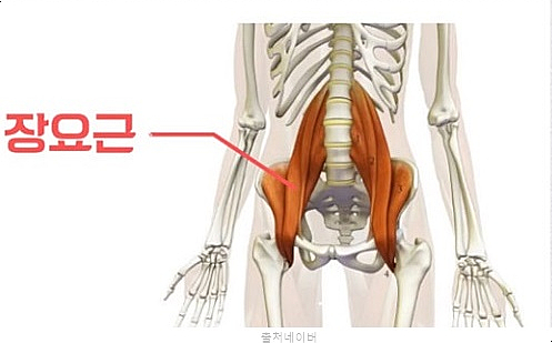 여자 골반 허리 통증 운동 고관절 장요근 허벅지 내전근 스트레칭 나비자세 홈트
