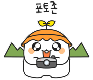 캐논 EOS R6 Mark2 풀프레임 미러리스 카메라 끝판왕 국내여행 사진찍기좋은곳