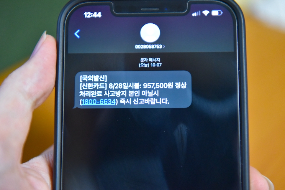 국외발신 신한카드 문자 스미싱 조심 1800-6634 전화 절대노