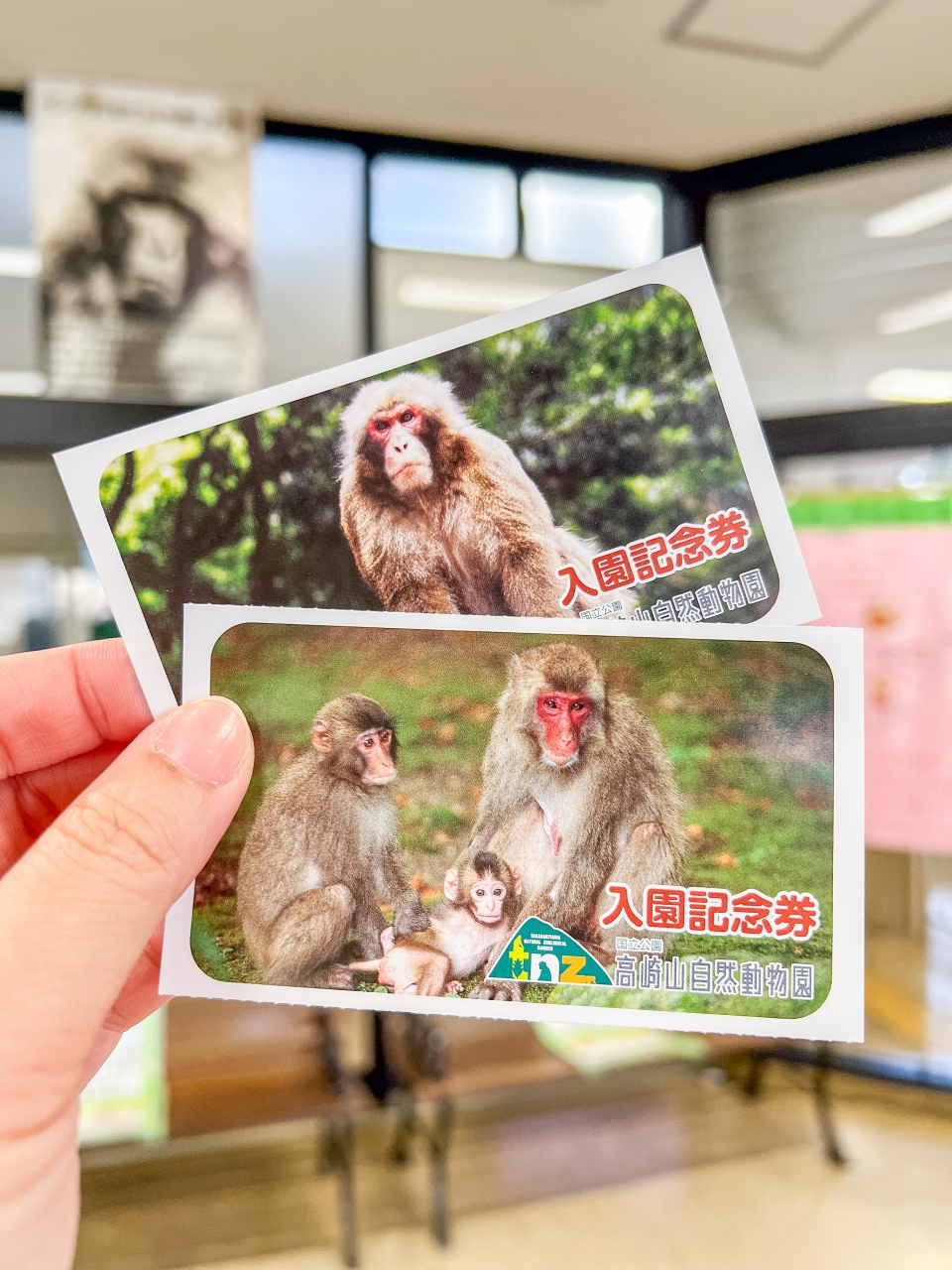 일본여행추천 벳푸 우미타마고 원숭이산 : 일본 가볼만한곳