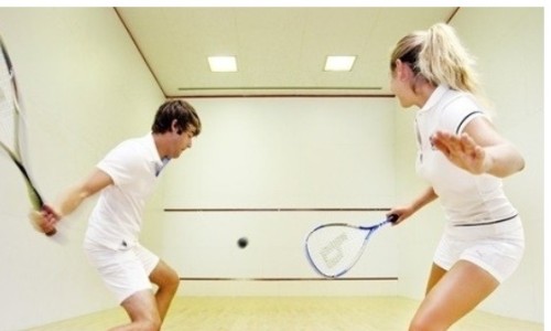 실내 스포츠 스쿼시 기초체력기르기 취미운동 테니스 차이 칼로리 용어 규칙