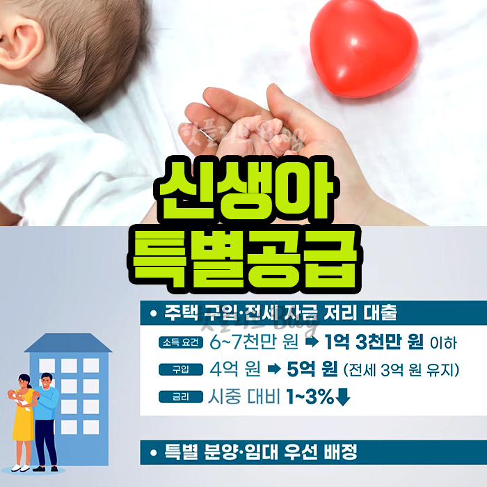 신생아 특공 신설 출산가구 주택 특별공급 신청방법 자격 소득 조건 대상 결혼 혼인무관 뉴홈 청약통장 가입기간 부부 합산 최대 5억 저금리 특례대출 육아휴직 18개월 2024 예산안