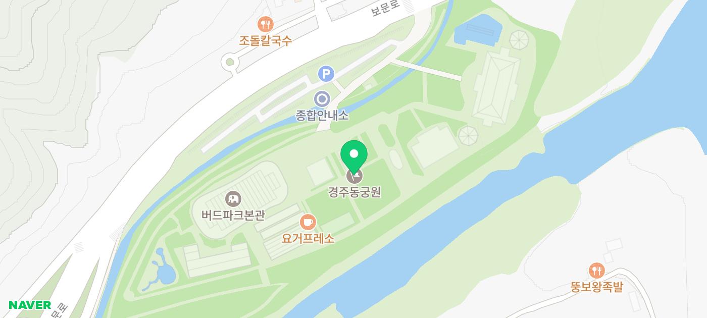 경북 경주 여행 추천 볼거리 경주 동궁원 식물원