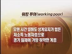 워킹 푸어(Working Poor), 근로 빈곤층