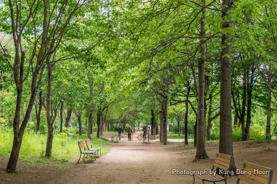 9월 10월 서울 가볼만한곳 데이트 코스 추천 남산타워 서울숲 한강공원 북촌한옥마을