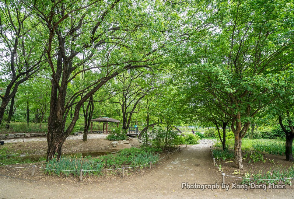 9월 10월 서울 가볼만한곳 데이트 코스 추천 남산타워 서울숲 한강공원 북촌한옥마을