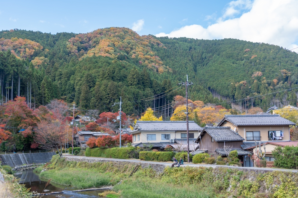 오사카 근교 여행 교토 자유여행 가을 명소 쿠라마