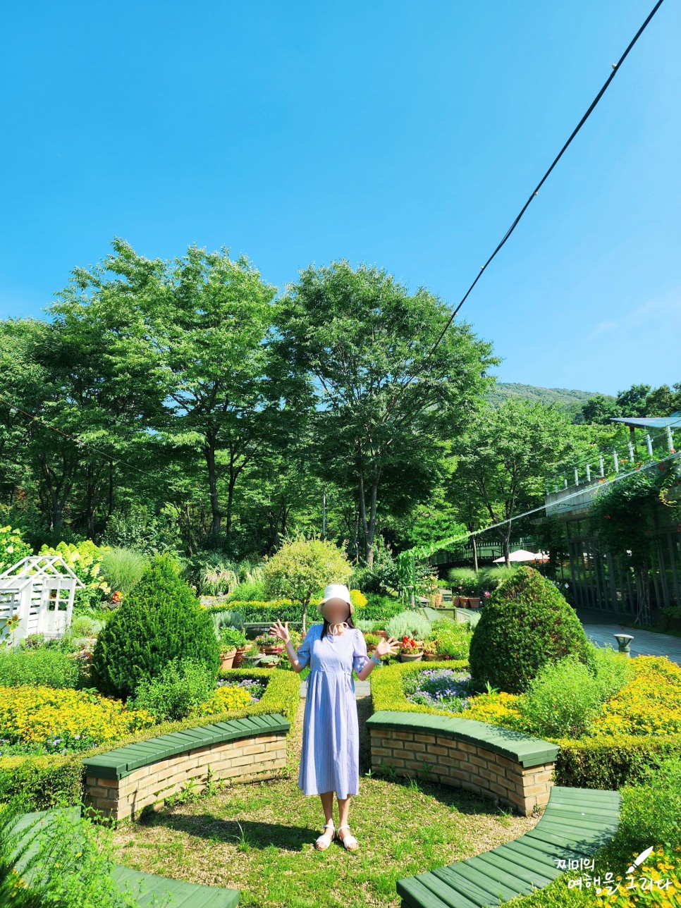 성남 신구대학교 식물원 가볼만한곳 경기도 꽃구경 해바라기 명소