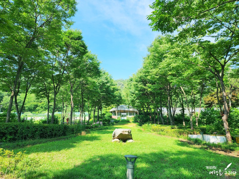 성남 신구대학교 식물원 가볼만한곳 경기도 꽃구경 해바라기 명소