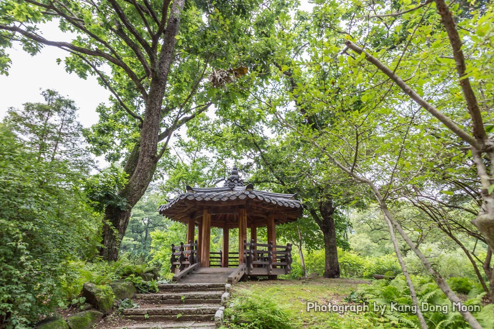 서울 근교 가볼만한곳 가을 경기도 여행지 추천 포천 산정호수 양평 두물머리 국립수목원