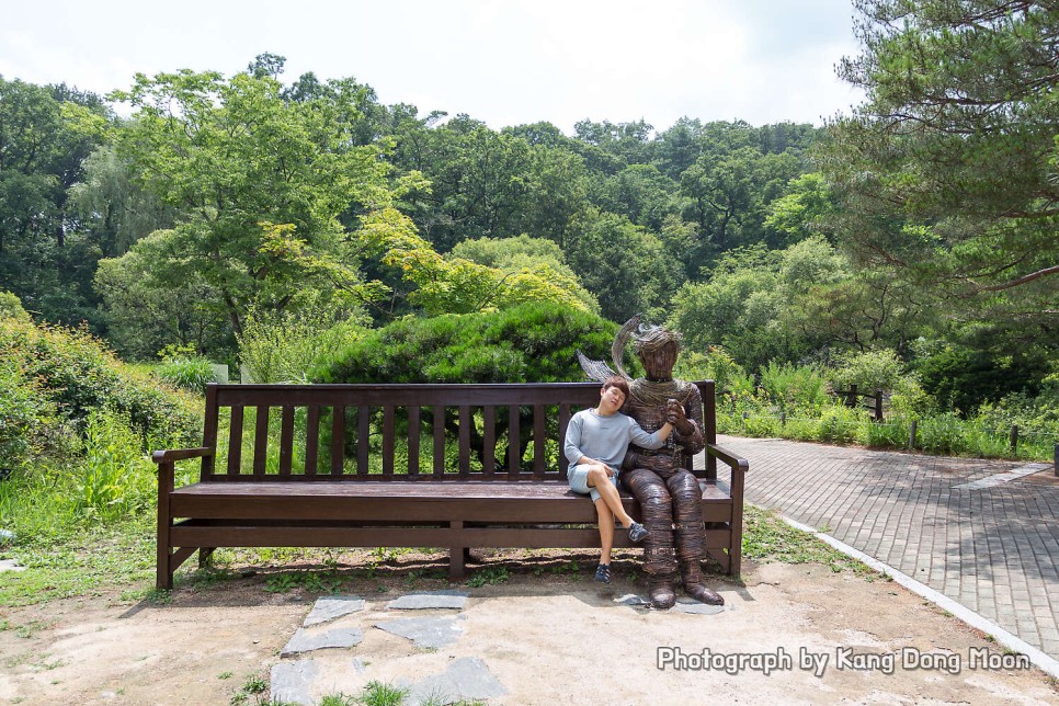 서울 근교 가볼만한곳 가을 경기도 여행지 추천 포천 산정호수 양평 두물머리 국립수목원