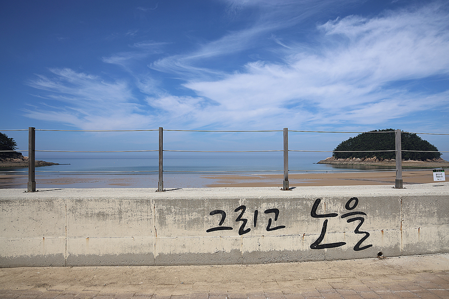 충청도 여행지 태안 천리포수목원 놀거리 볼거리 충남 드라이브코스