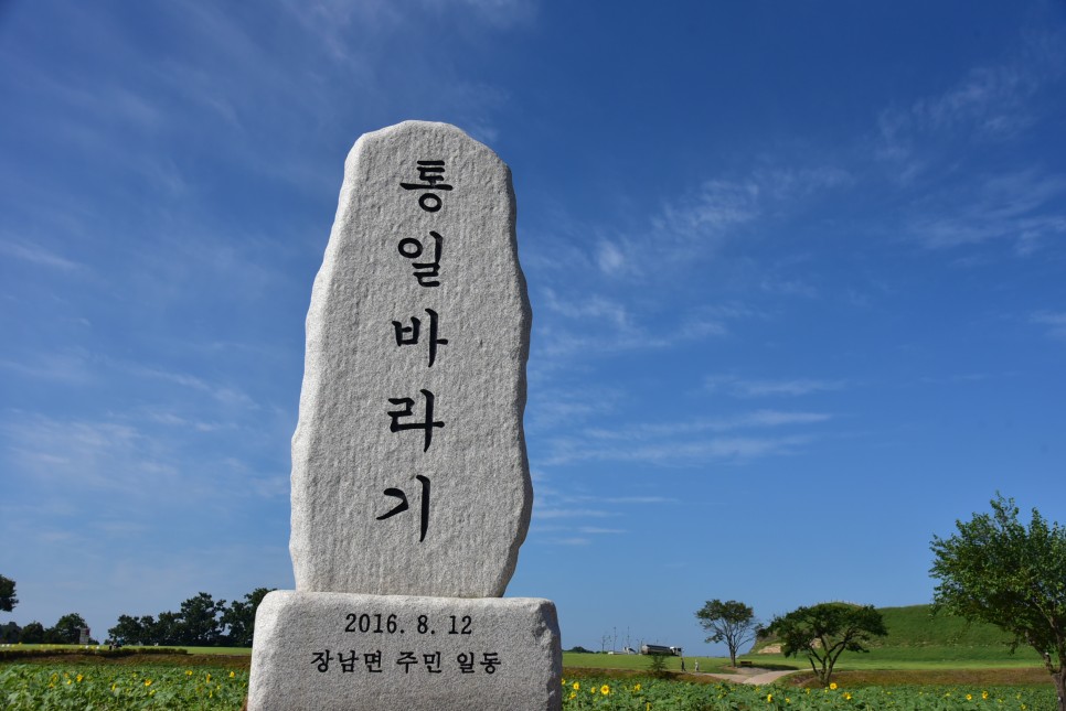 연천 호로고루 해바라기 명소 연천 가볼만한곳