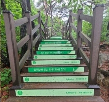 계단오르기 운동기구 스텝밀 천국의 계단 스텝퍼 운동 효과 칼로리 운동방법