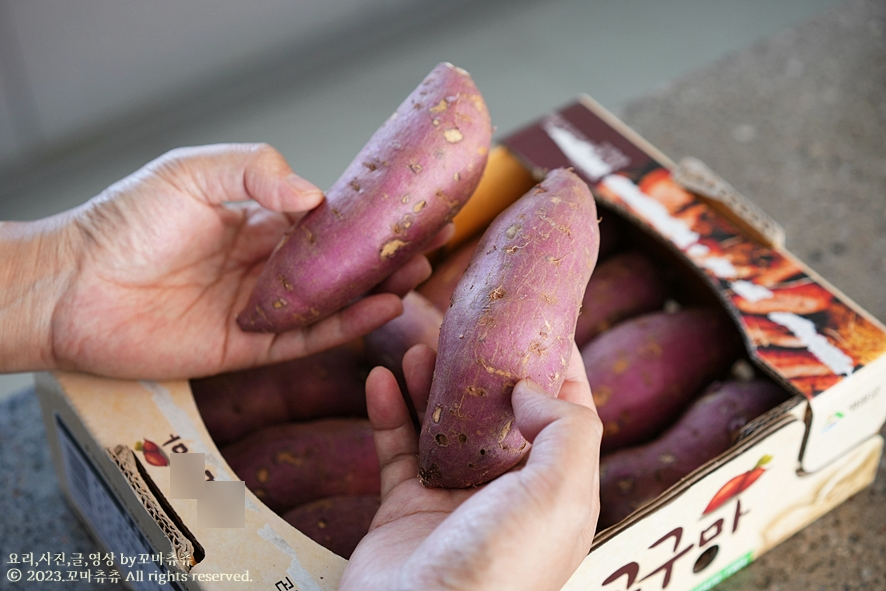 밤 고구마 찌는법 찌는시간 맛있게 냄비 고구마찌기 고구마 삶기 칼로리 밤 고구마 삶는법 삶는시간