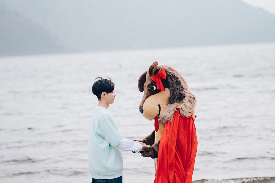 늑대 양에게는 속지 않아 결말 출연진 인스타그램 후기 정보 넷플릭스 일본 연애 리얼리티 예능 프로그램