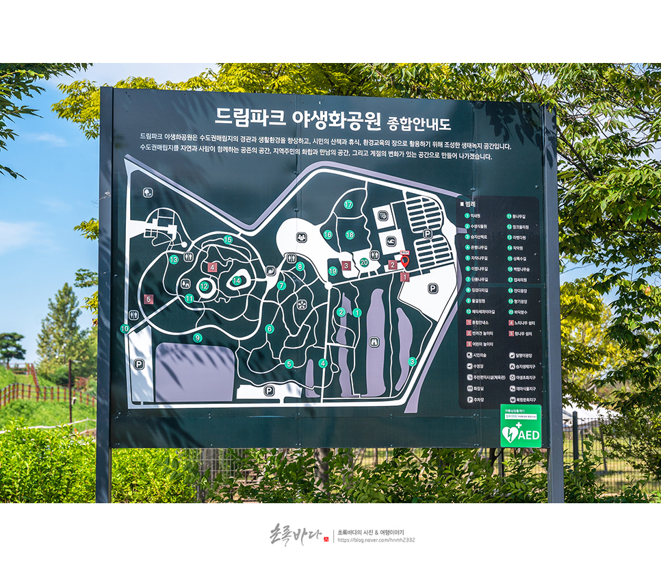 인천 놀만한곳 인천 드림파크 야생화단지 공원 놀거리