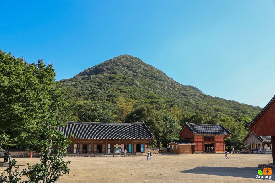 9월 가볼만한곳 영광 불갑사 꽃무릇 고창 선운사 꽃무릇 가을 꽃구경