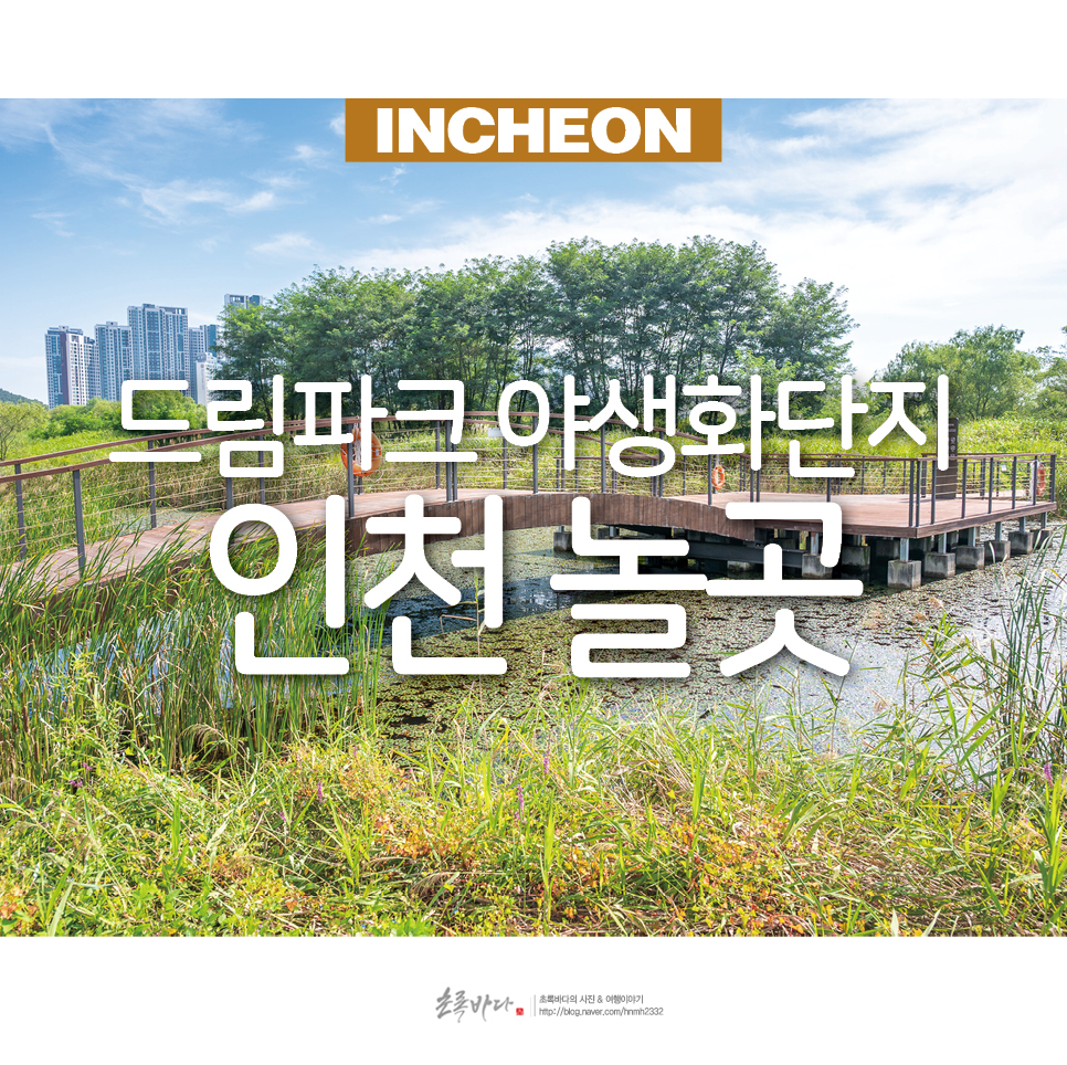인천 놀만한곳 인천 드림파크 야생화단지 공원 놀거리