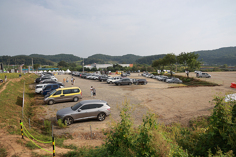 연천 호로고루 해바라기 축제 경기도 가을 여행지 명소 서울근교 당일치기 여행 가을 꽃구경