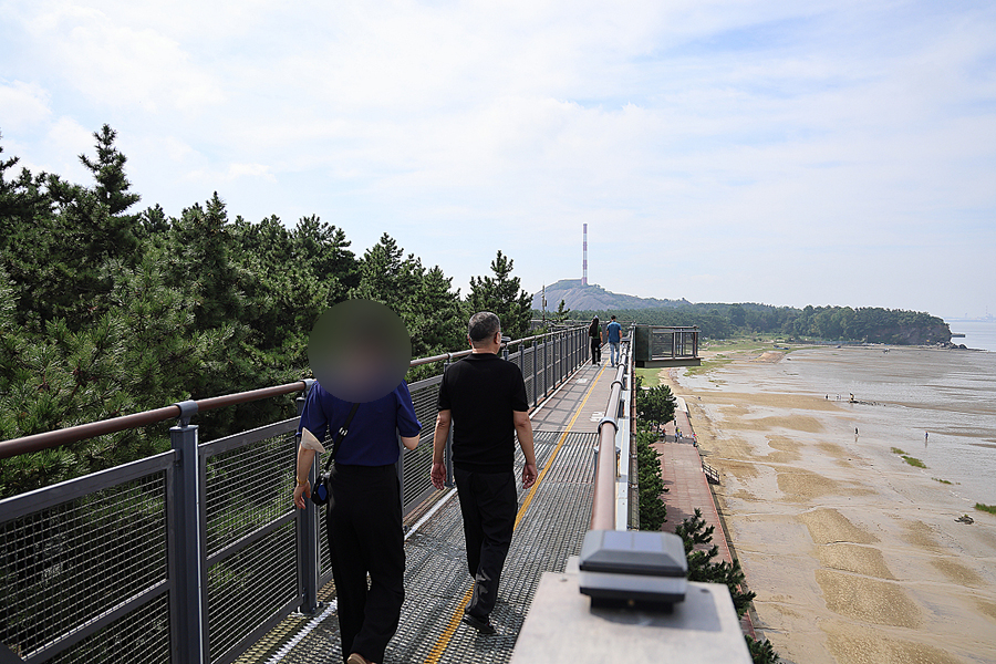 국내 여름 여행지 서천 장항 스카이워크 기벌포 해전 전망대