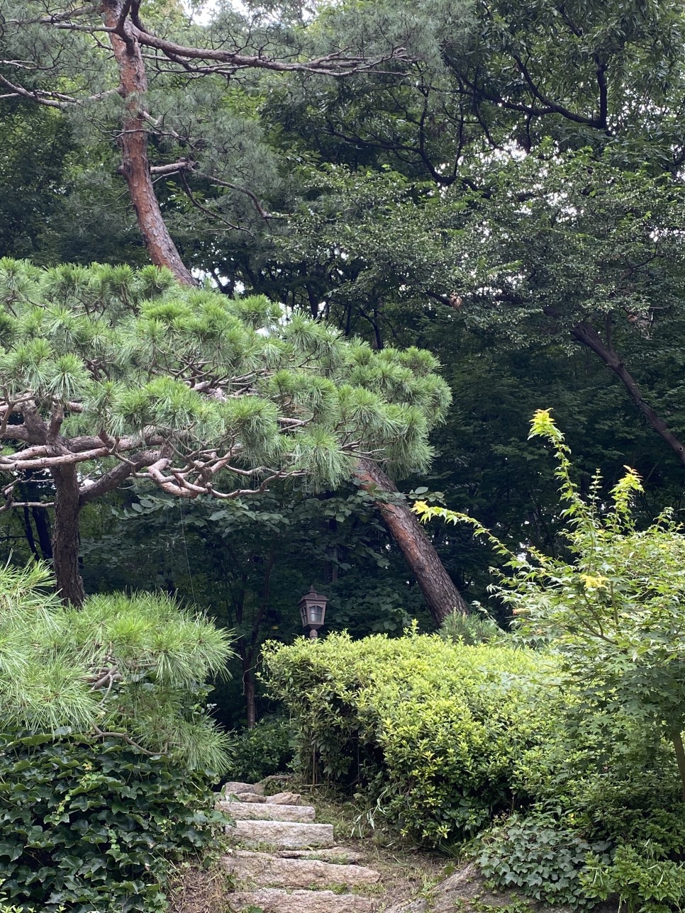 부암동 석파정 왕의 정원 서울 가볼만한곳