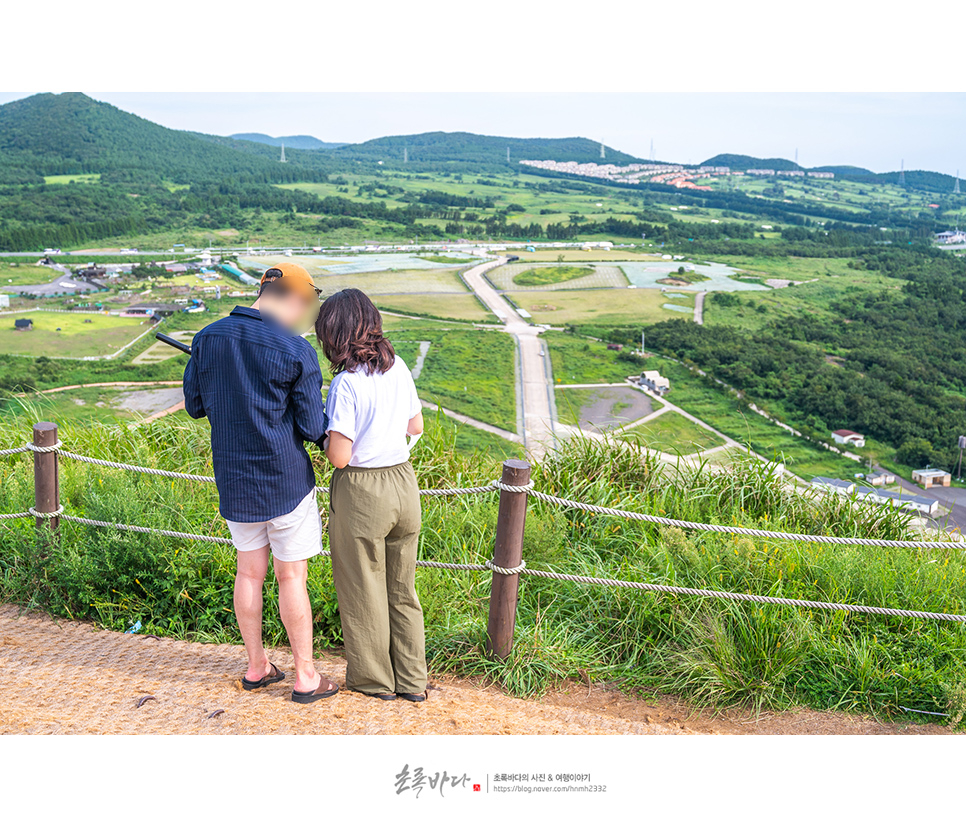 제주 새별오름 제주도 오름 추천 관광지